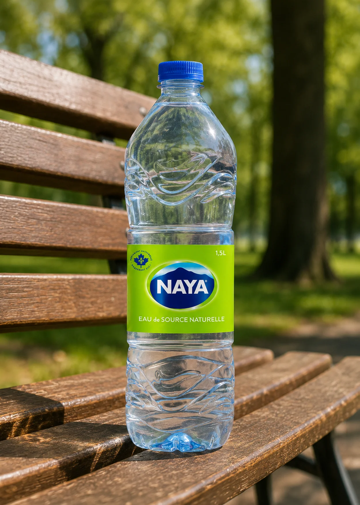 Bouteille d’eau de source Naya 1,5 L